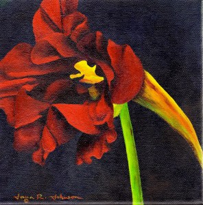 Red Nasturtium © Jana R. Johnson