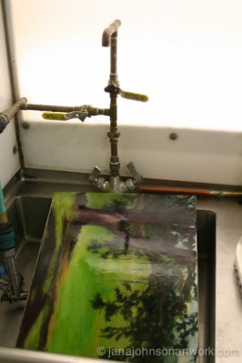 © Jana R. Johnson 2014Apr28--IMG_4730