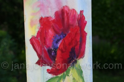 Poppy © Jana R. Johnson  2014May07--IMG_4784