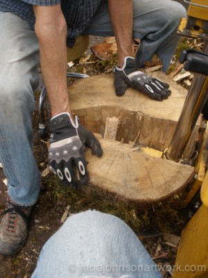 © Jana R. Johnson -