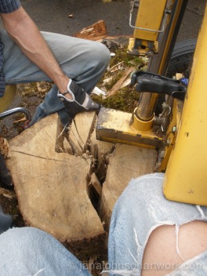 © Jana R. Johnson -