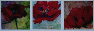 © Jana R. Johnson Poppies