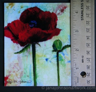 © Jana R. Johnson Poppy and Pod
