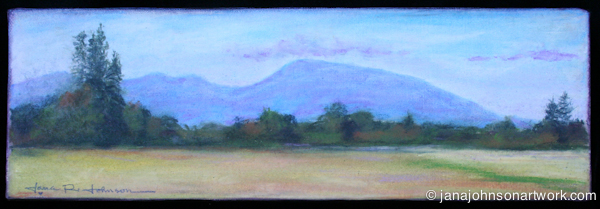 © Jana R. Johnson - 2014Jul31--IMG_6373