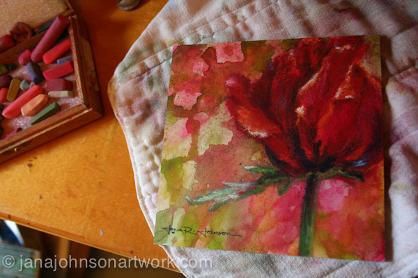 © Jana R. Johnson 2015Jan23--IMG_8796