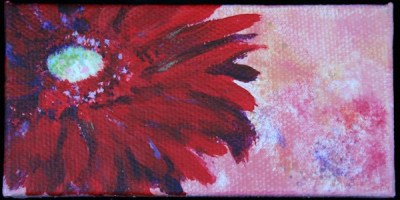 Gerbera Daisy © Jana R. Johnson