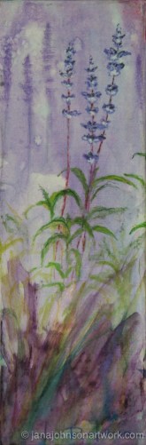 © Jana R. Johnson 2013Aug01--IMG_0967-Edit