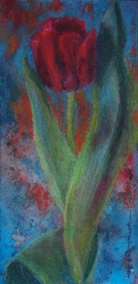 © Jana R. Johnson - Red Tulip 1