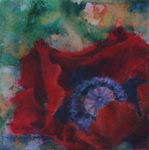 © Jana R. Johnson - 2015Jan30--IMG_8909