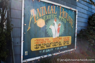 © Jana R. Johnson 2015Mar04--IMG_9221