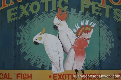 © Jana R. Johnson 2015Mar04--IMG_9222