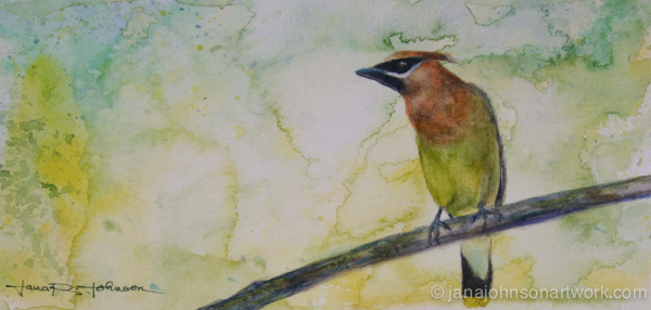 © Jana R. Johnson 2015Mar18--IMG_9572