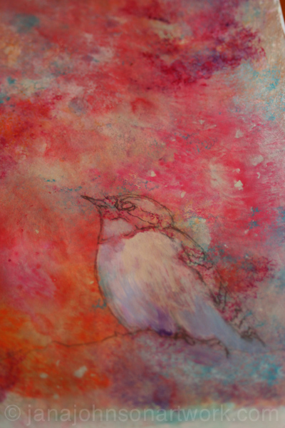 © Jana R. Johnson 2015Mar22--IMG_9602