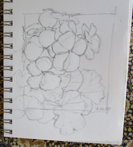 © Jana R. Johnson 2015Apr15--IMG_1055