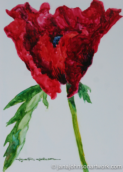 © Jana Johnson janajohnsonartwork.com/blog 2015May12--IMG_0397