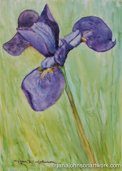 © Jana R. Johnson janajohnsonartwork.com/blog