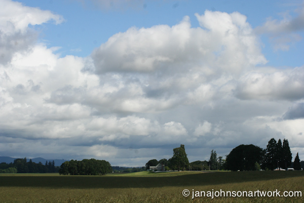 © Jana R. Johnson 2015Jun03--IMG_0933