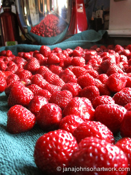 © Jana R. Johnson janajohnsonartwork.com 2015Jun09--IMG_1256