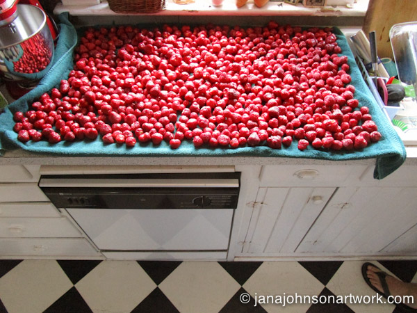 © Jana R. Johnson janajohnsonartwork.com 2015Jun09--IMG_1257