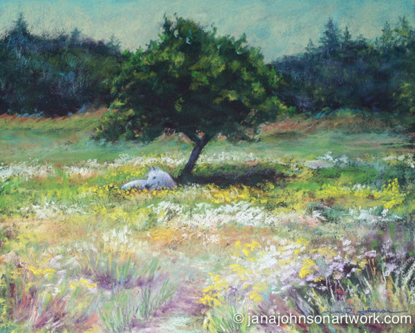 © Jana R. Johnson janajohnsonartwork.com 2015Jun19--IMG_1093