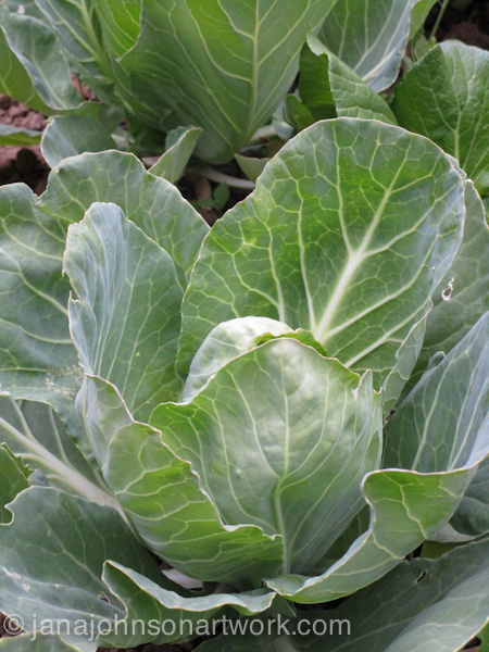 © Jana R. Johnson janajohnsonartwork.com/blog