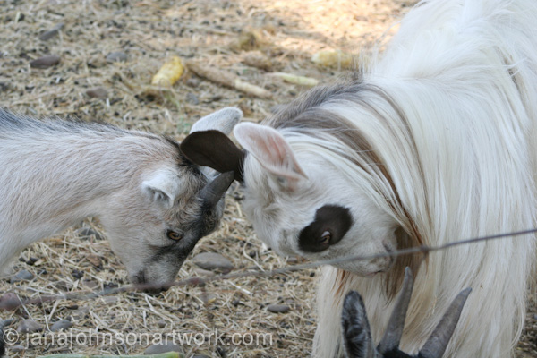 © Jana R. Johnson janajohnsonartwork.com/blog 2015Aug12--IMG_1567