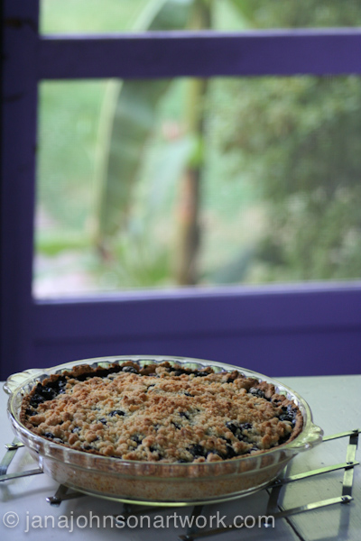 ©JanaRJohnson-janajohnsonartwork.com/blog 2015Jul25--IMG_1331