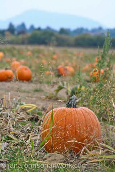 ©JanaRJohnson janajohhsonartwork.com/blog 2015Oct07--IMG_2227