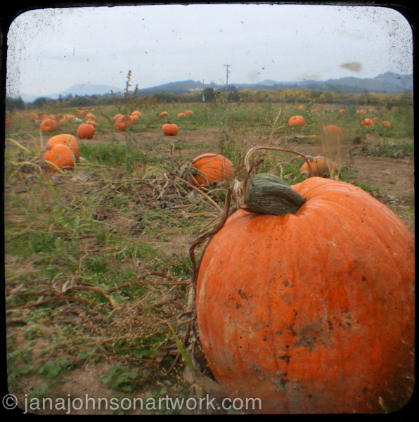 ©JanaRJohnson janajohhsonartwork.com/blog2015Oct07--IMG_2247