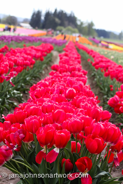 2©JanaRJohnson/janajohnsonartwork.com/blog-016Apr05--IMG_0321