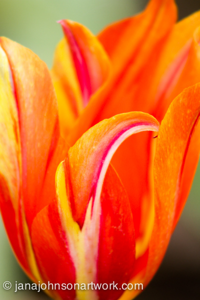 ©JanaRJohnson/janajohnsonartwork.com/blog-2016Apr05--IMG_0328