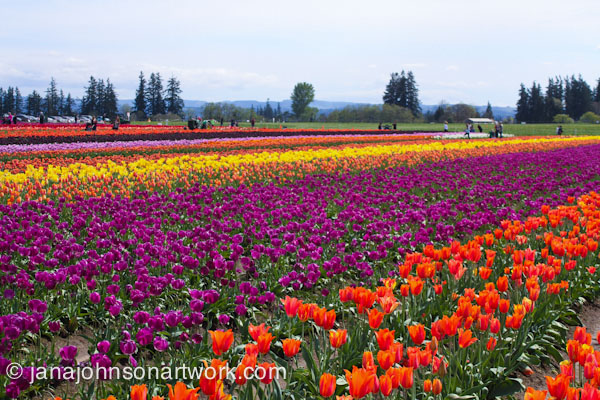 ©JanaRJohnson/janajohnsonartwork.com/blog-2016Apr05--IMG_0340