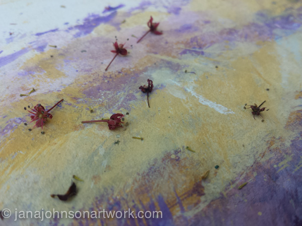 ©JanaRJohnson-janajohnsonartwork.com/blog-2016Apr07--2016-04-07 18.01.08