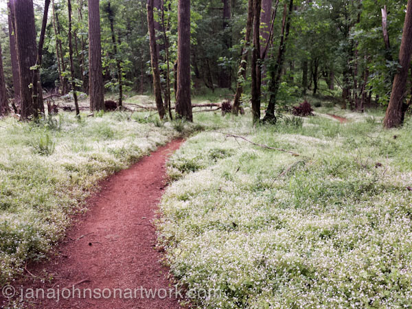 ©JanaRJohnson-janajohnsonartwork.com/blog-2016May21--2016-05-21 13.43.00