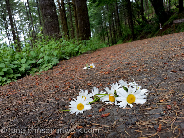 ©JanaRJohnson-janajohnsonartwork.com/blog-2016May21--2016-05-21 15.02.14